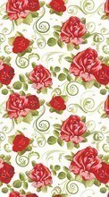 Flowers, Background, Pictures, Roses