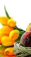 Ladda ner Flowers, Eggs, Objects, Easter, Holidays bilden till mobilen.