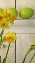 Ladda ner Plants, Flowers, Narcissussi bilden 540x960 till mobilen.