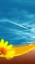 Ladda ner Flowers, Sky, Drawings bilden 320x480 till mobilen.