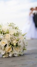 Flowers,Holidays,Plants,Wedding