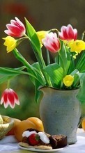 Ladda ner Plants, Flowers, Tulips bilden till mobilen.