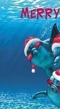 Dolfins, Sea, New Year, Holidays, Christmas, Xmas, Fishes, Humor till Asus ZenPad 7.0 Z370C