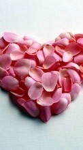 Ladda ner Holidays, Hearts, Love, Valentine&#039;s day bilden 320x480 till mobilen.
