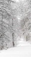 Ladda ner Landscape, Winter, Nature, Trees, Roads, Snow, Fir-trees bilden 320x480 till mobilen.