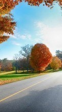 Ladda ner Trees, Roads, Leaves, Autumn, Landscape bilden till mobilen.
