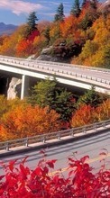 Ladda ner Landscape, Bridges, Trees, Roads, Autumn bilden 1080x1920 till mobilen.