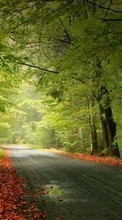 Ladda ner Landscape, Trees, Roads, Autumn bilden till mobilen.