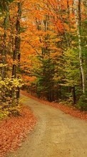 Ladda ner Landscape, Trees, Roads, Autumn bilden 240x400 till mobilen.