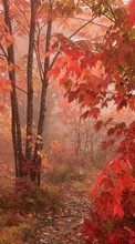 Ladda ner Landscape, Trees, Roads, Autumn bilden 1024x768 till mobilen.