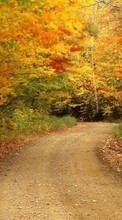 Trees, Roads, Autumn, Landscape till LG G Pad 7.0 V400