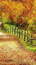 Trees, Roads, Autumn, Landscape till Nokia E5