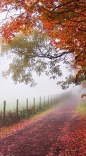 Trees,Roads,Autumn,Landscape