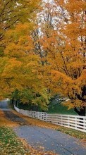 Ladda ner Landscape, Trees, Roads, Autumn bilden 240x320 till mobilen.