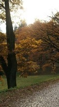 Ladda ner Landscape, Trees, Roads, Autumn bilden 1280x800 till mobilen.