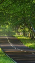 Landscape, Trees, Roads till HTC Desire 610