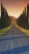 Trees, Roads, Landscape till HTC Desire 700