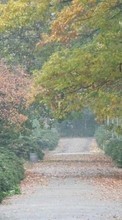 Ladda ner Landscape, Trees, Roads, Autumn bilden 240x320 till mobilen.