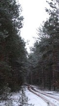 Ladda ner Plants, Landscape, Winter, Trees, Roads, Snow bilden 1080x1920 till mobilen.