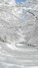 Ladda ner Trees, Roads, Landscape, Snow bilden till mobilen.