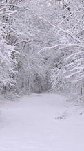 Ladda ner Trees, Roads, Nature, Snow, Winter bilden till mobilen.
