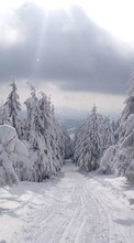 Ladda ner Landscape, Winter, Trees, Roads, Snow bilden till mobilen.