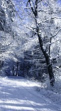Ladda ner Trees, Roads, Landscape, Snow, Winter bilden till mobilen.