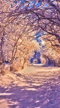 Trees, Roads, Landscape, Snow, Winter till Samsung Galaxy Grand Neo Plus