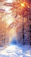 Ladda ner Landscape, Winter, Trees, Roads, Sun bilden 480x800 till mobilen.