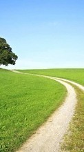 Ladda ner Landscape, Trees, Grass, Roads bilden 1280x800 till mobilen.