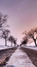 Ladda ner Landscape, Winter, Trees, Roads bilden 320x480 till mobilen.