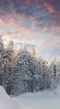 Ladda ner Trees, Fir-trees, Mountains, Landscape, Snow, Winter bilden till mobilen.