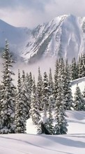 Ladda ner Landscape, Winter, Trees, Mountains, Fir-trees bilden 320x480 till mobilen.