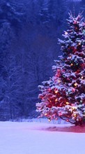 Ladda ner Trees, Fir-trees, New Year, Nature, Holidays, Christmas, Xmas bilden till mobilen.