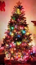 Ladda ner Holidays, Plants, Trees, New Year, Fir-trees, Christmas, Xmas bilden 1080x1920 till mobilen.