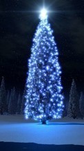 Ladda ner Holidays, Trees, New Year, Fir-trees, Christmas, Xmas bilden 540x960 till mobilen.