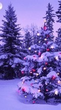 Ladda ner Trees, Fir-trees, New Year, Holidays, Christmas, Xmas, Snow, Winter bilden 1024x768 till mobilen.
