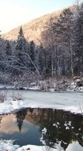 Ladda ner Landscape, Winter, Trees, Snow, Fir-trees, Lakes bilden 1280x800 till mobilen.