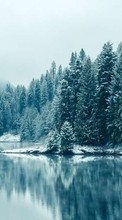 Ladda ner Trees, Fir-trees, Landscape, Rivers, Snow, Winter bilden till mobilen.