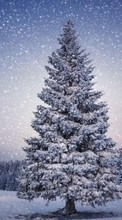 Ladda ner Trees, Fir-trees, Landscape, Snow, Winter bilden till mobilen.