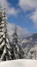 Landscape, Winter, Trees, Snow, Fir-trees till Lenovo K4 Note