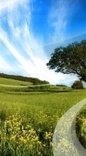 Ladda ner Trees, Background, Sky, Clouds, Landscape, Fields bilden till mobilen.