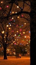Ladda ner Trees, Background, New Year, Landscape, Holidays, Christmas, Xmas bilden 1024x768 till mobilen.