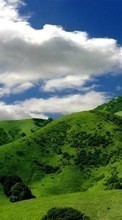 Trees, Mountains, Clouds, Landscape, Grass till HTC Desire 700