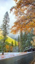 Ladda ner Trees, Mountains, Autumn, Landscape, Snow bilden till mobilen.