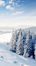Trees, Mountains, Landscape, Snow, Winter till LG V10