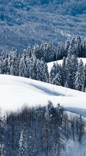 Ladda ner Trees, Mountains, Landscape, Snow, Winter bilden till mobilen.
