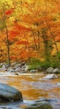 Ladda ner Landscape, Water, Rivers, Trees, Stones, Autumn bilden 1080x1920 till mobilen.