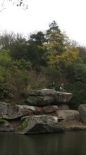 Ladda ner Landscape, Water, Trees, Stones bilden 320x480 till mobilen.