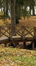 Ladda ner Trees, Leaves, Bridges, Autumn, Landscape bilden till mobilen.